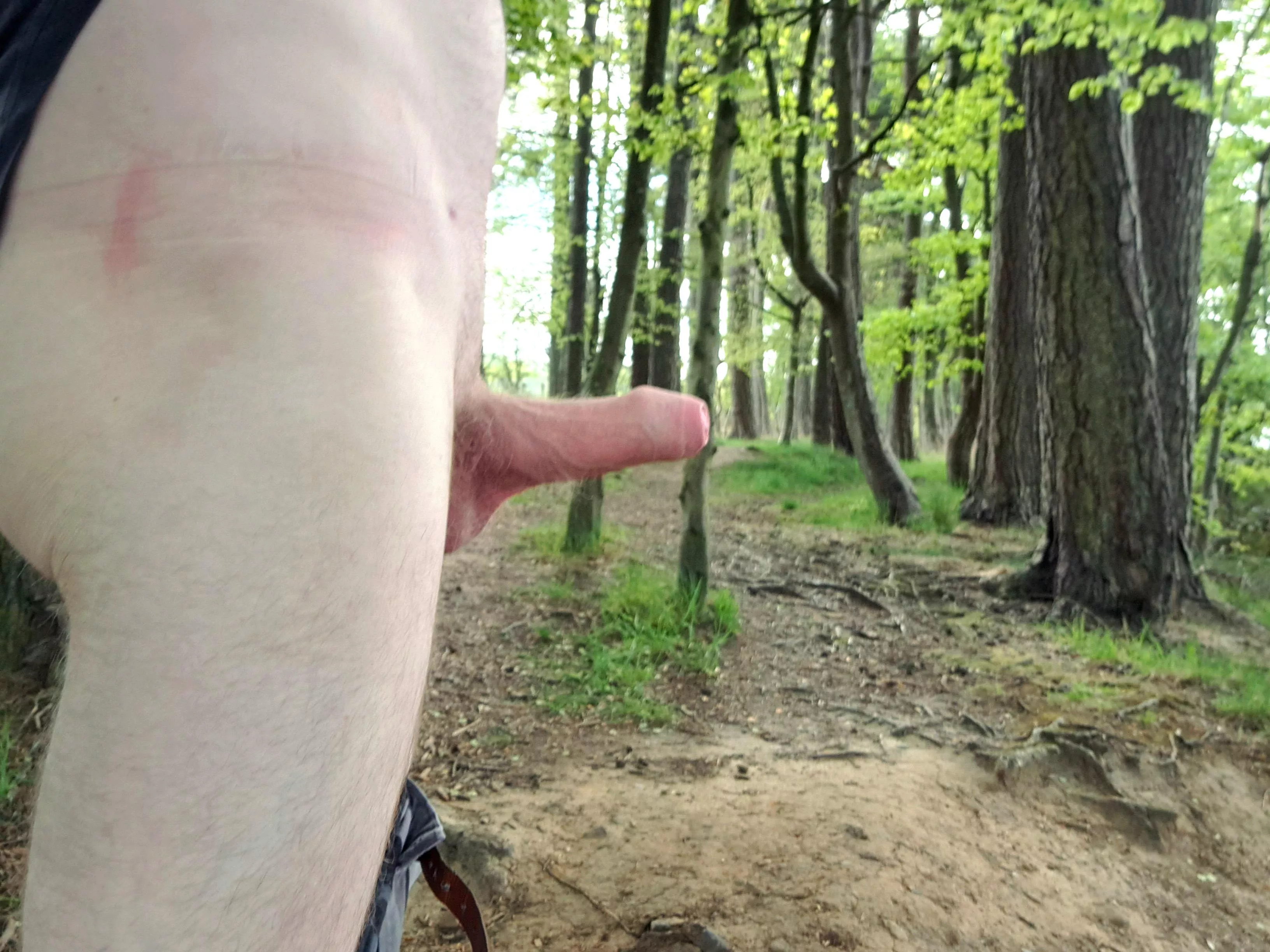 the early bird catches a glimpse of my worm. Good morning from Scotland