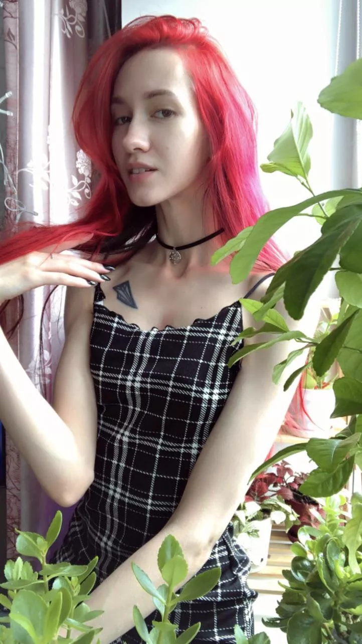 The forest nymph The forest nymph