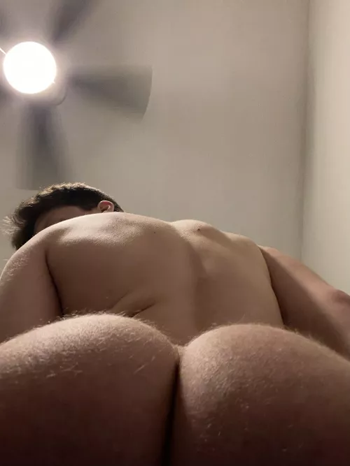 The last thing you see before I sit on your face