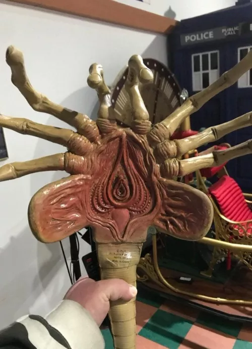 The lower part of an alien ‘facehugger’.