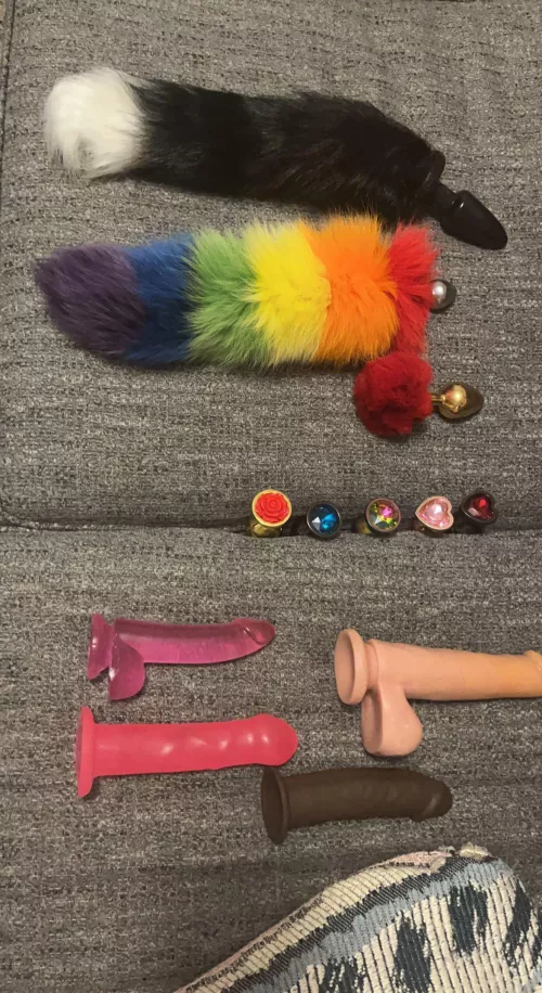 The only things I love