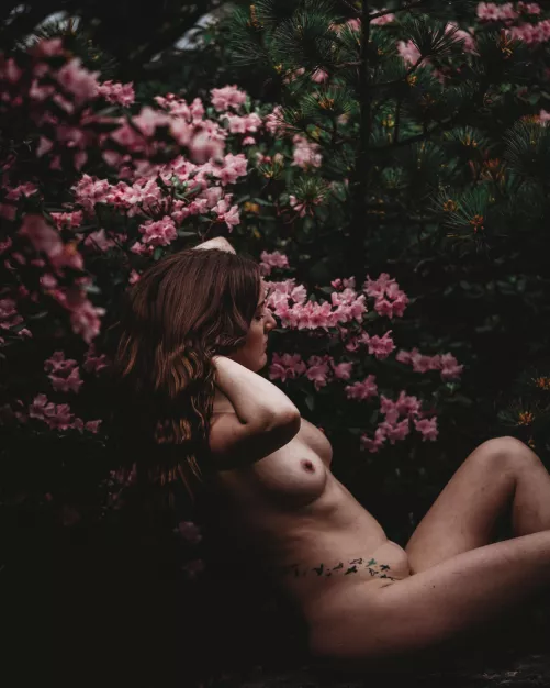 The rhodo’s are out and so am I :P