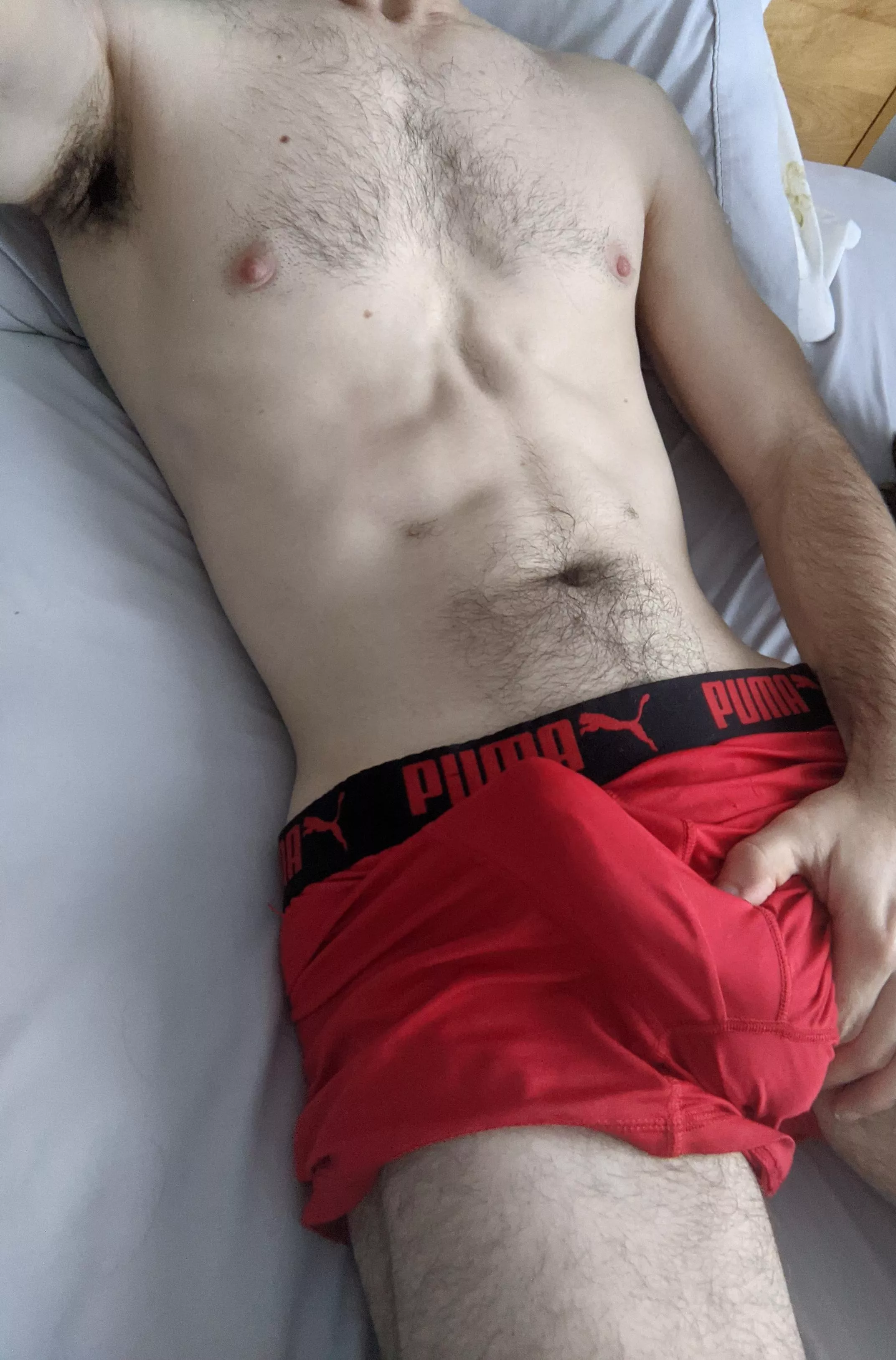 The type of showy morning bulge that keeps us in bed