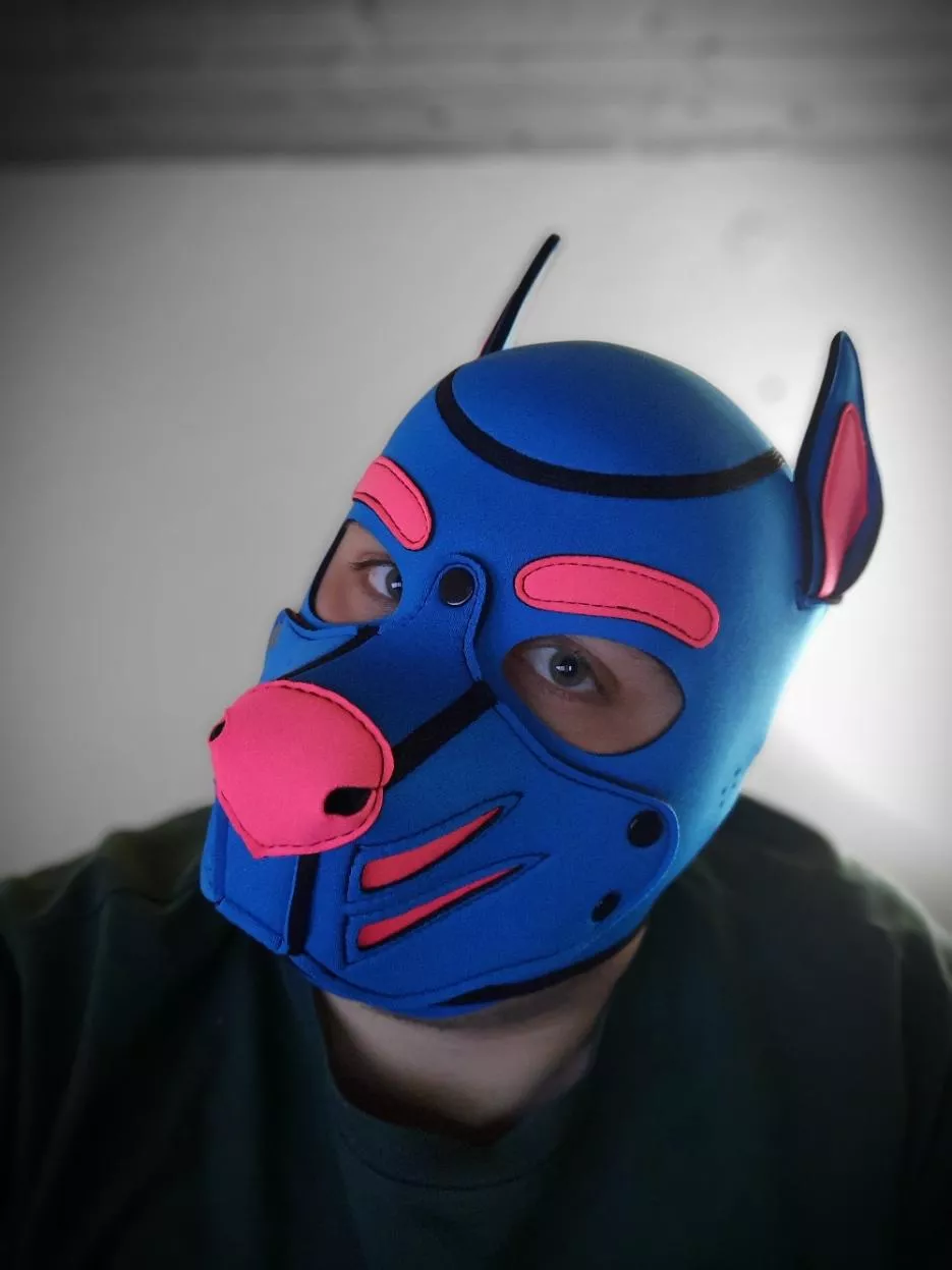 There is a new puppy around 🐶