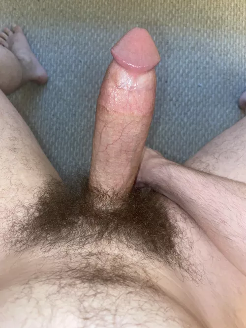 There’s just something about an overgrown bush