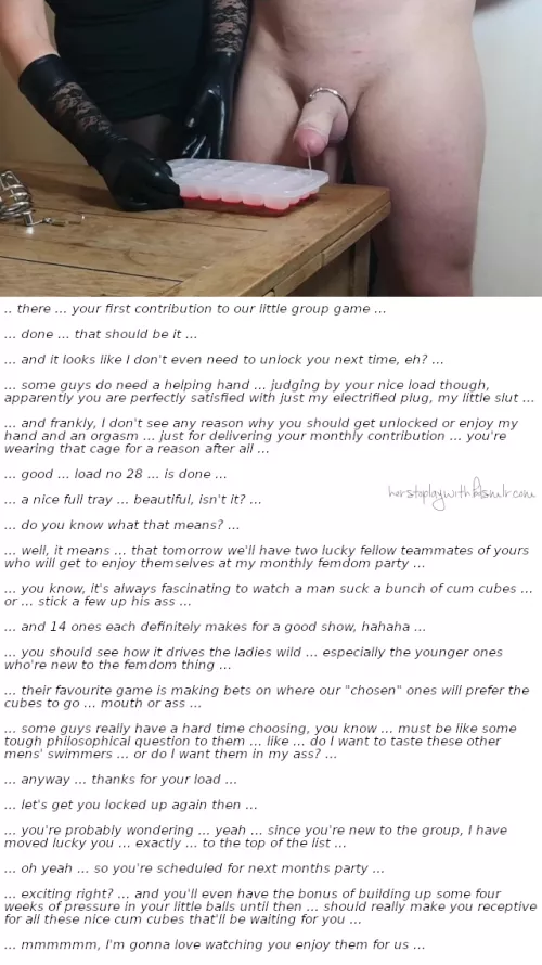 They like making bets