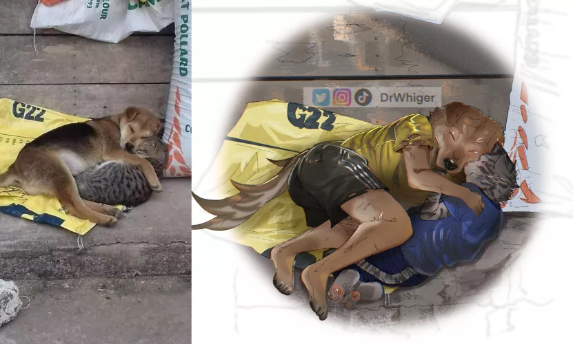 They might be Homeless but They’re not Heartless