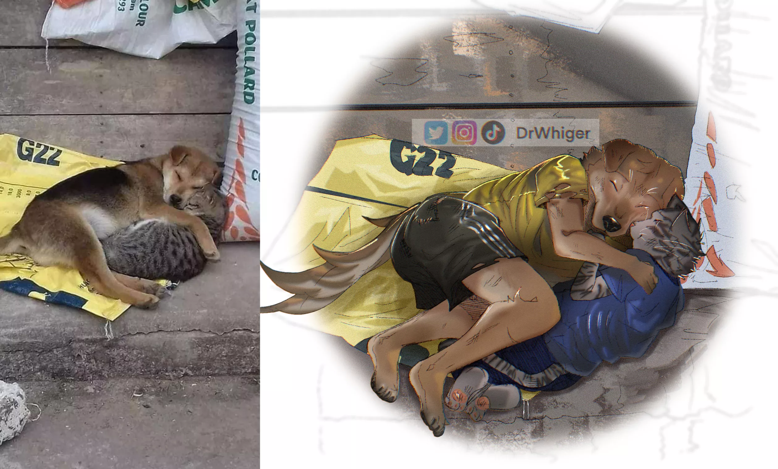 They might be Homeless but They’re not Heartless