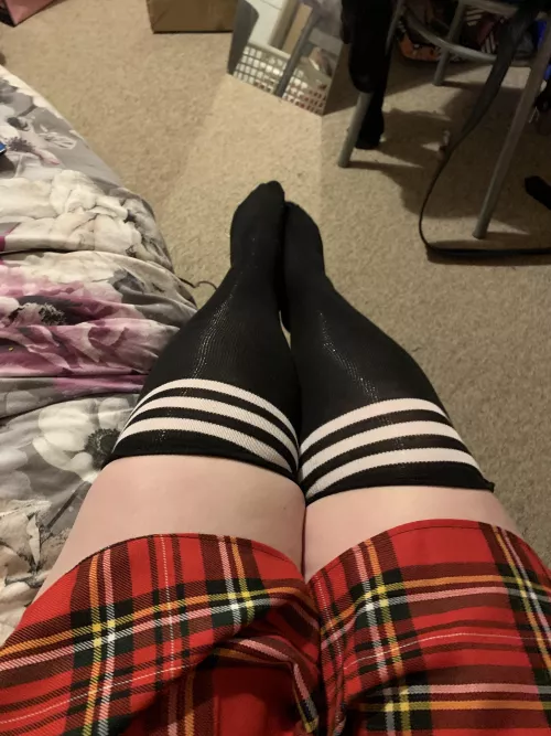 Thick thighs in thigh highs
