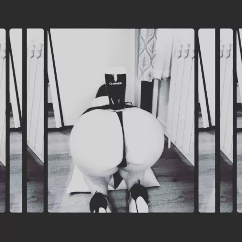 Thirsty Thursday, need somewhere to rest your pint?