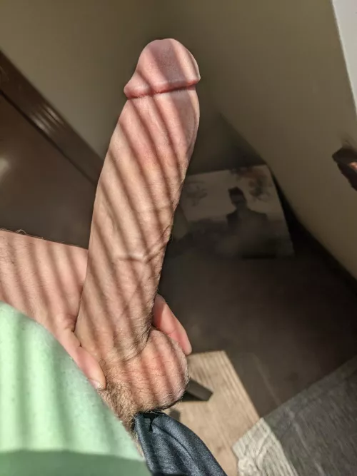 this cock deserves to be admired