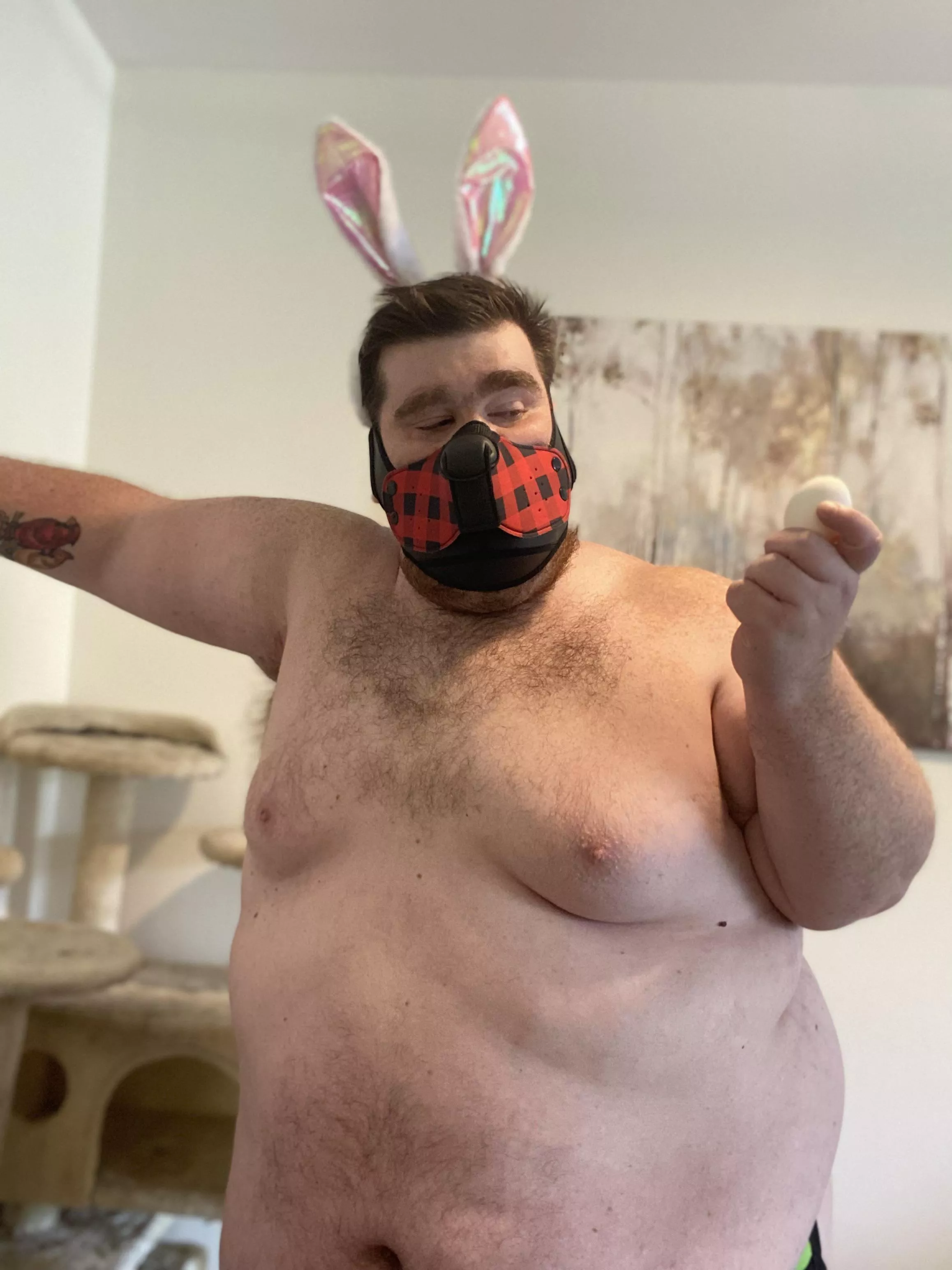 This egg goes where??!