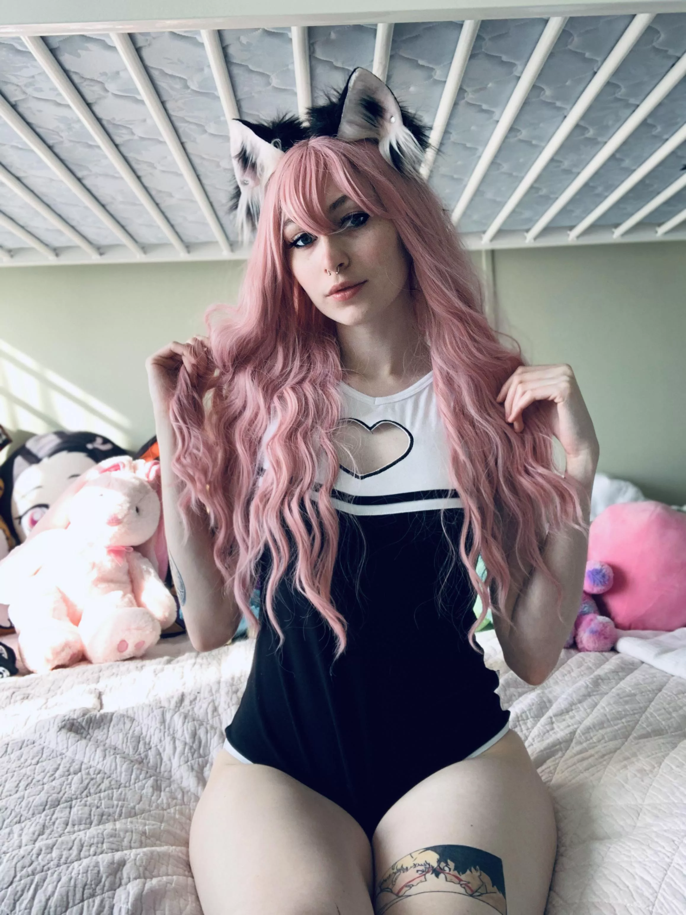 This kitty needs attention 🥺🖤