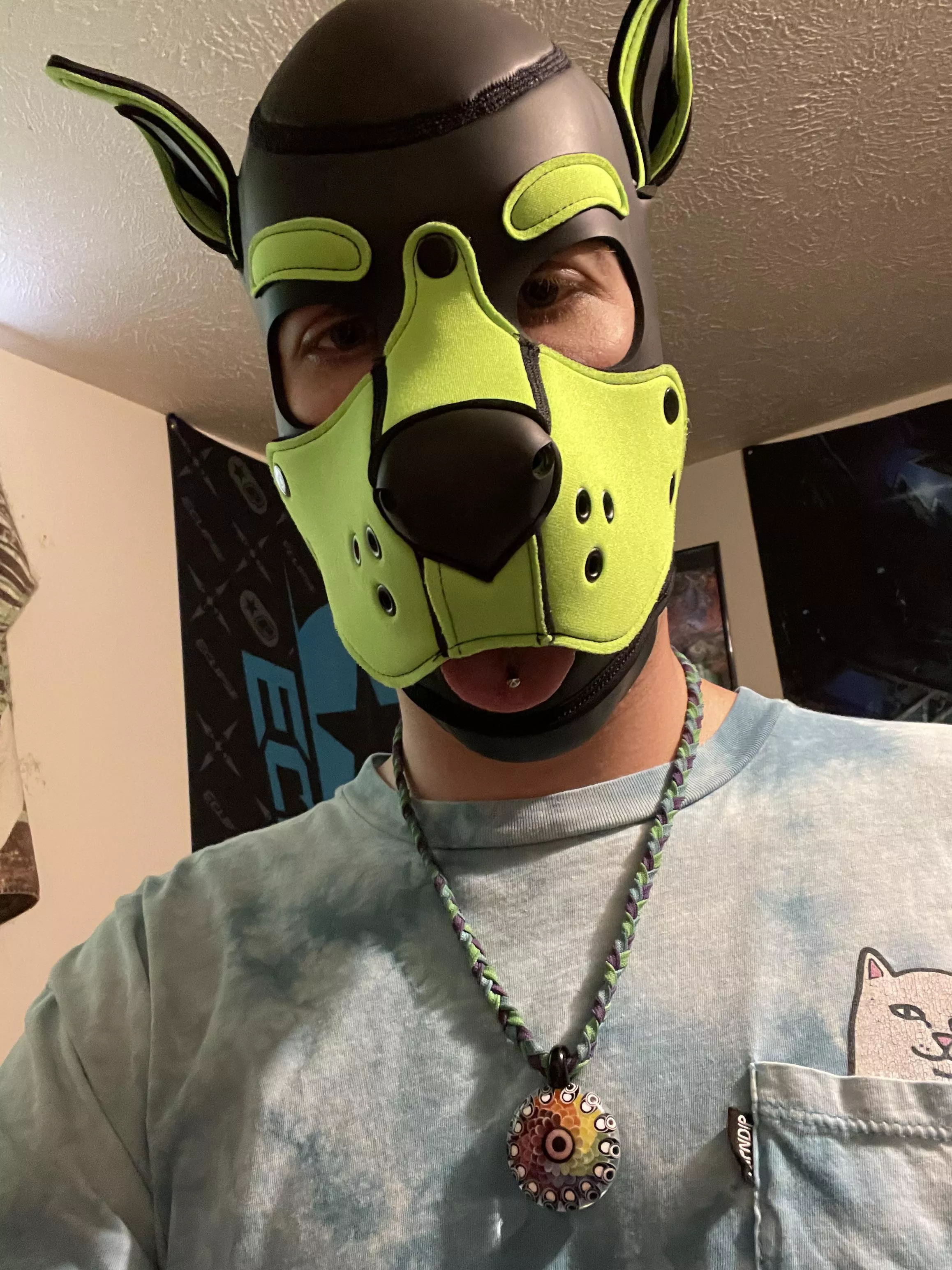 This pup is about to go on a very very much so needed pound stay for the next few days…. Their gonna give me these cool grippy socks so I don’t slip on my paws… 🐕🐾 enjoy a picture of pup when it was happy.