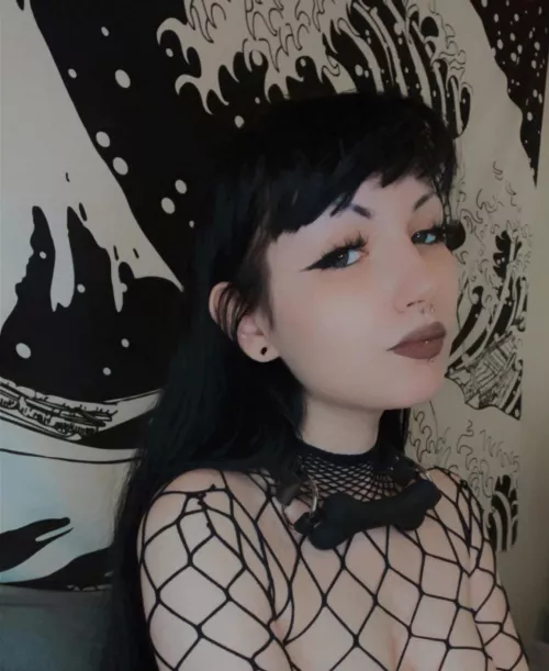 This puppy will be online all dayπ€