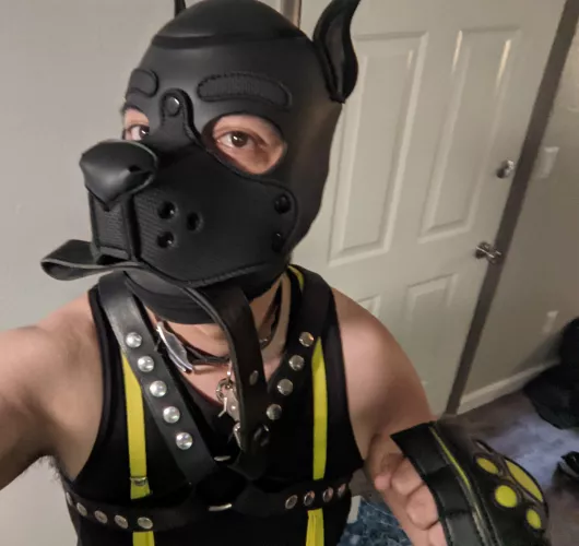 Time for a walk?🐾