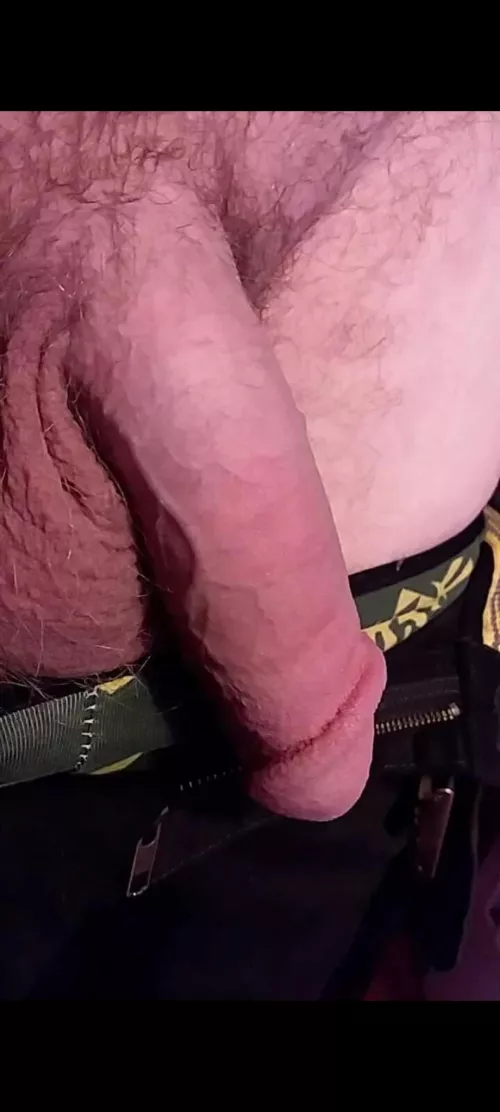 time to get hard from reddit