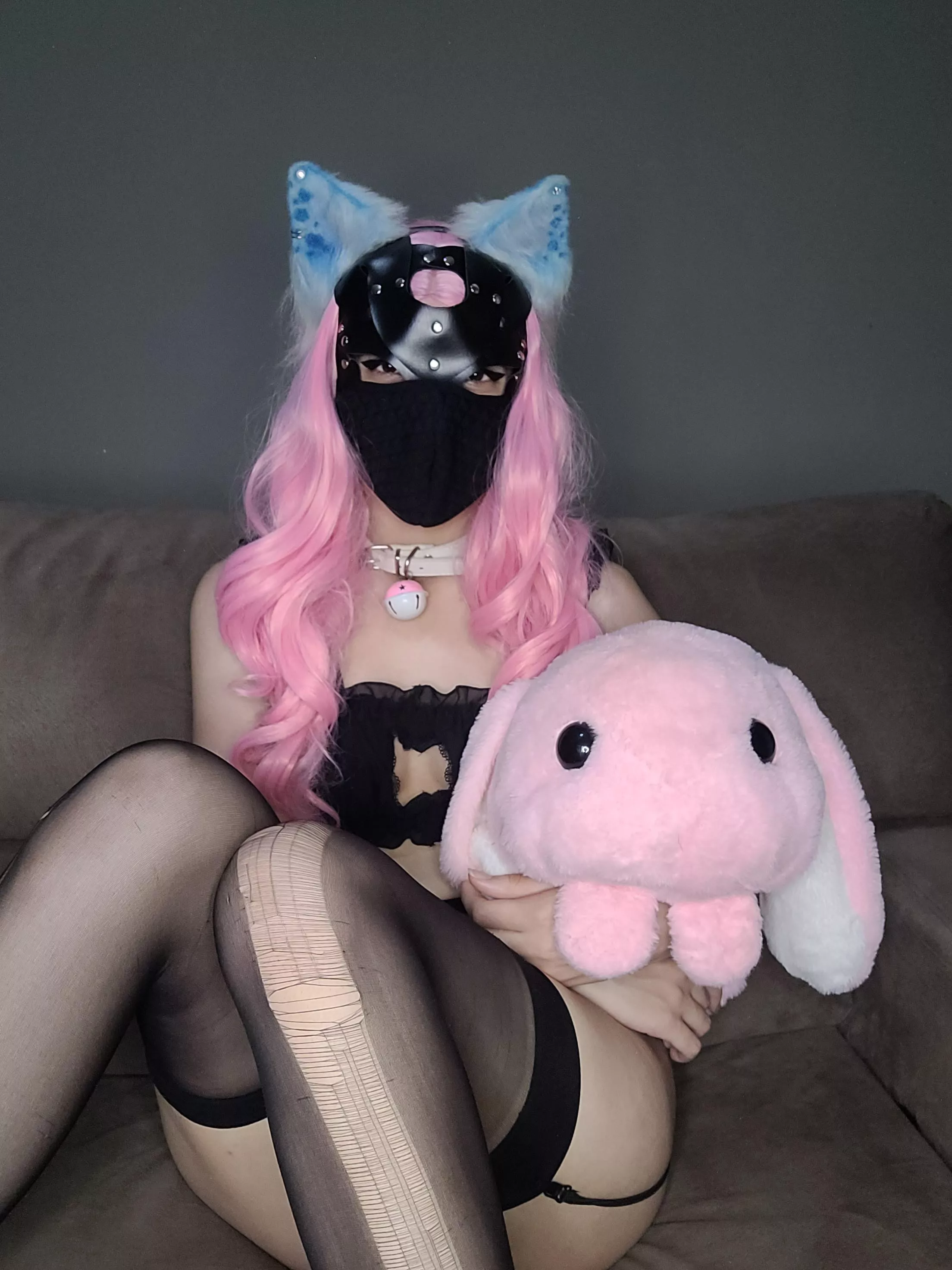 Today I'm behaved ☺️. Does a cute pet gain affection? 🥺💖