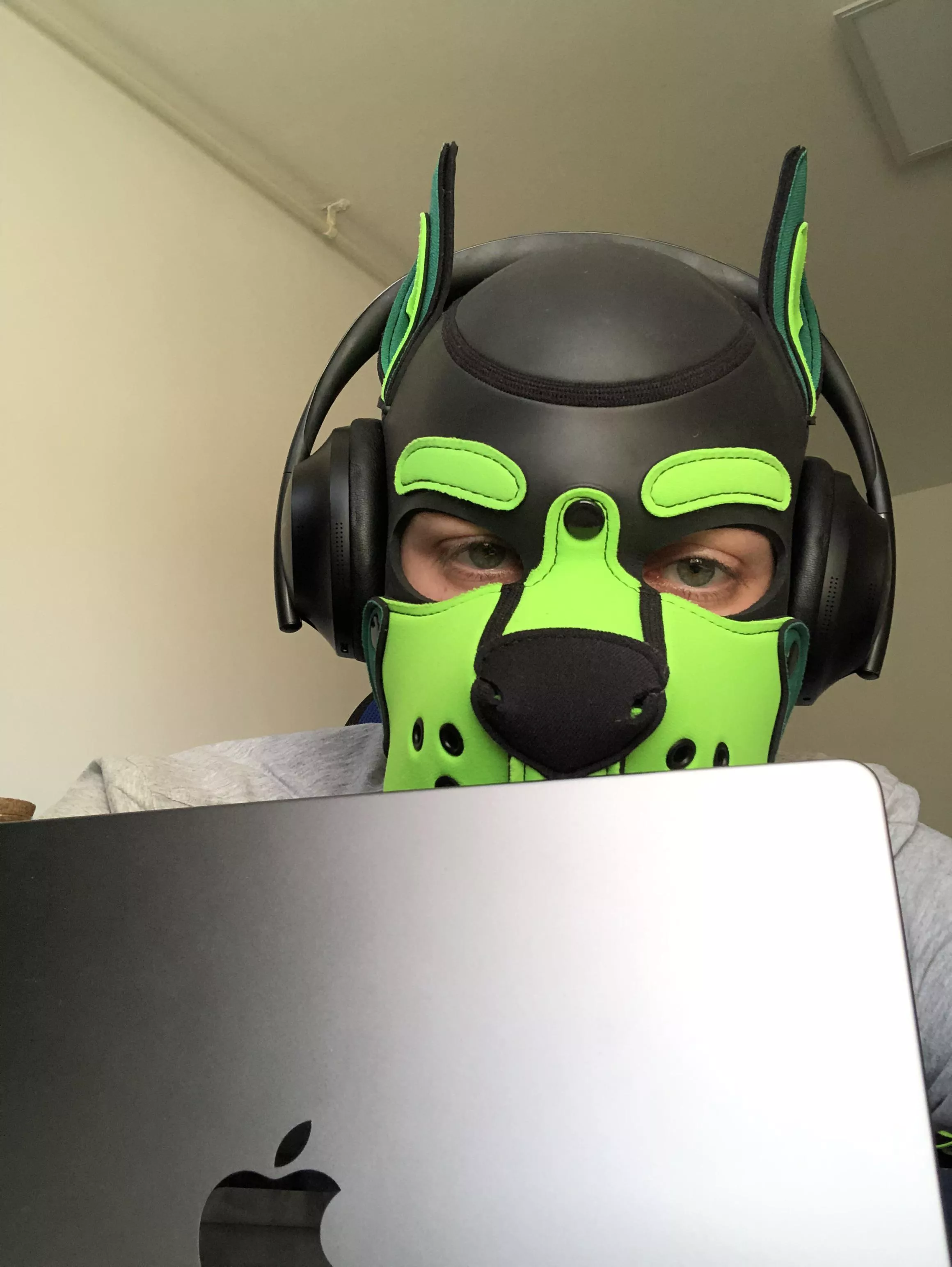 Too much work for a puppy. Puppy needs a nap! 😴