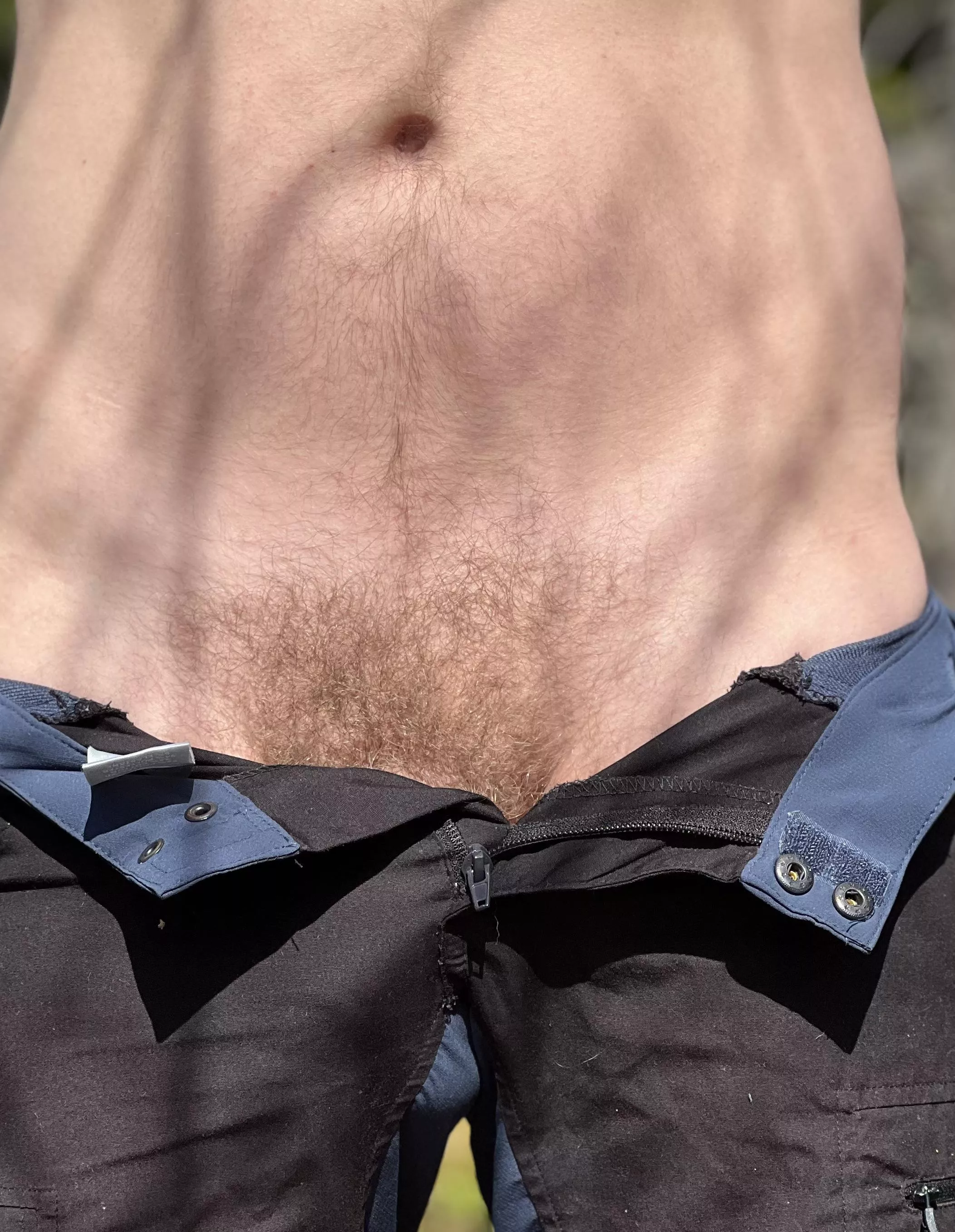 Took a walk in the woods!