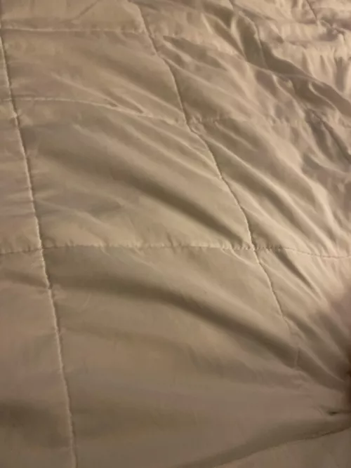 Trading my slutwife for t@ boo dm me ur tele or ki k