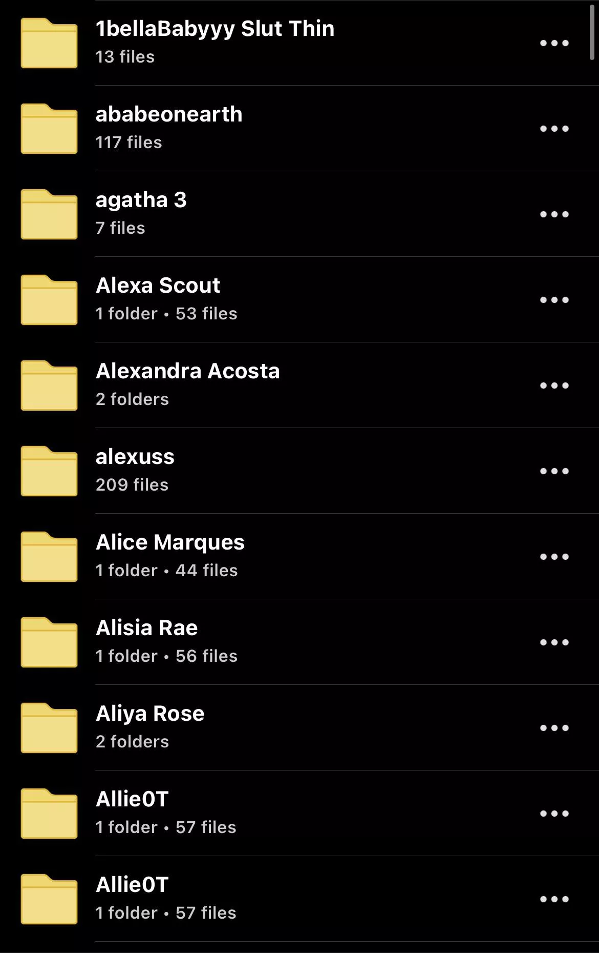 TRANS FOLDER WITH OVER 370 TGIRLS FOR ONLY $10 DM FOR CASHAPP ❗️