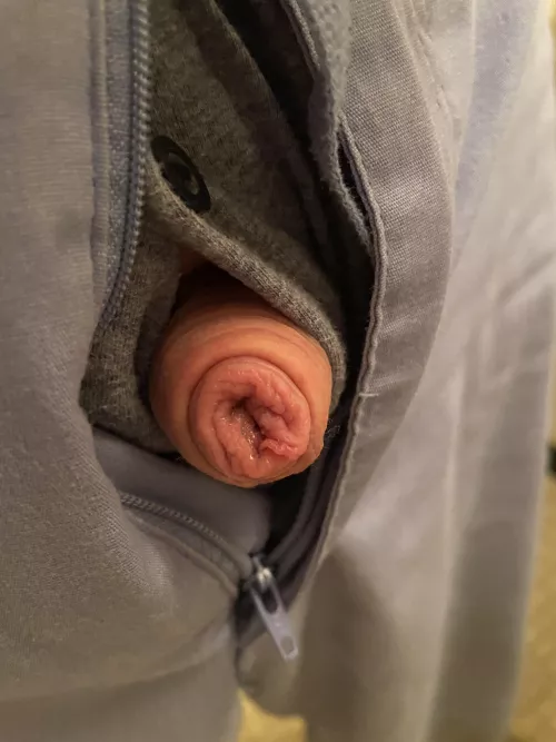 Trying to escape (40)