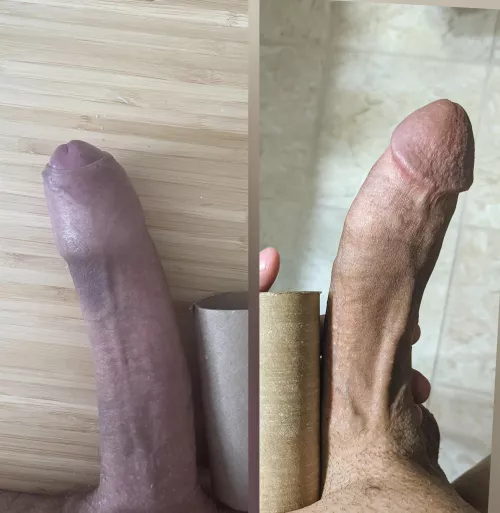 two big dicks. I'm on the right