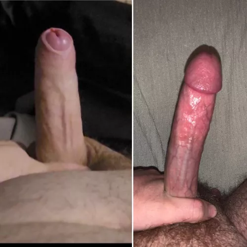 Two nice 7 inches cock