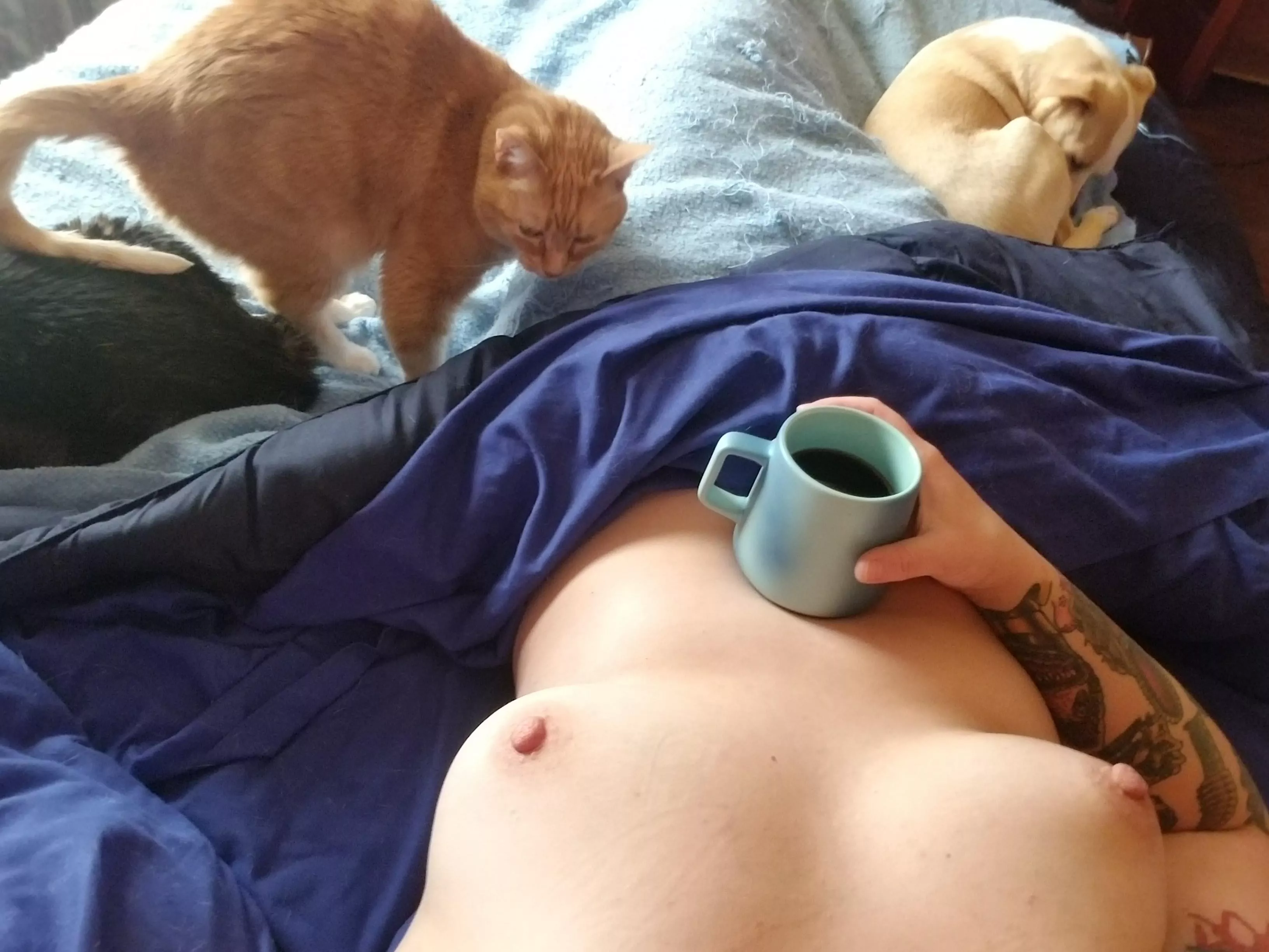 Ugh, up too early when I get to sleep in. At least I can snuggle with my pets.