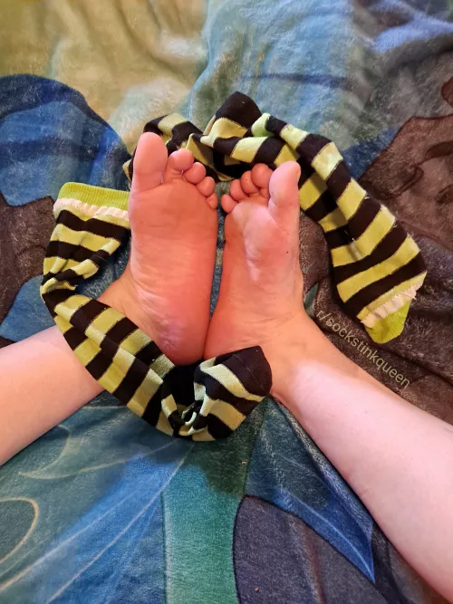 [US][Selling] Selling Well Worn Socks - $25 for 24 hours - shipping included! - cashapp only - DM ME