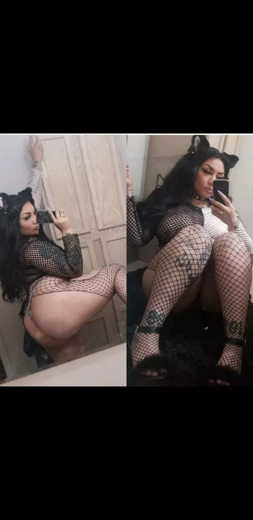 🌸 [verified] 24, thic and tatted. I have sext sessions, cam sessions, $75-$150 weekly Girlfriend experience, custom content and so much more!! KINK FRIENDLY I PROVIDE EXTRA VERIFICATION kik@dem0nicv sc@xxxaquarian🌸