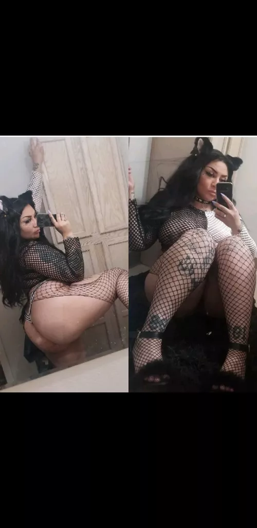 🌸 [verified] 24, thic and tatted. I have sext sessions, cam sessions, $75-$150 weekly Girlfriend experience, custom content and so much more!! KINK FRIENDLY I PROVIDE EXTRA VERIFICATION kik@dem0nicv sc@xxxaquarian🌸