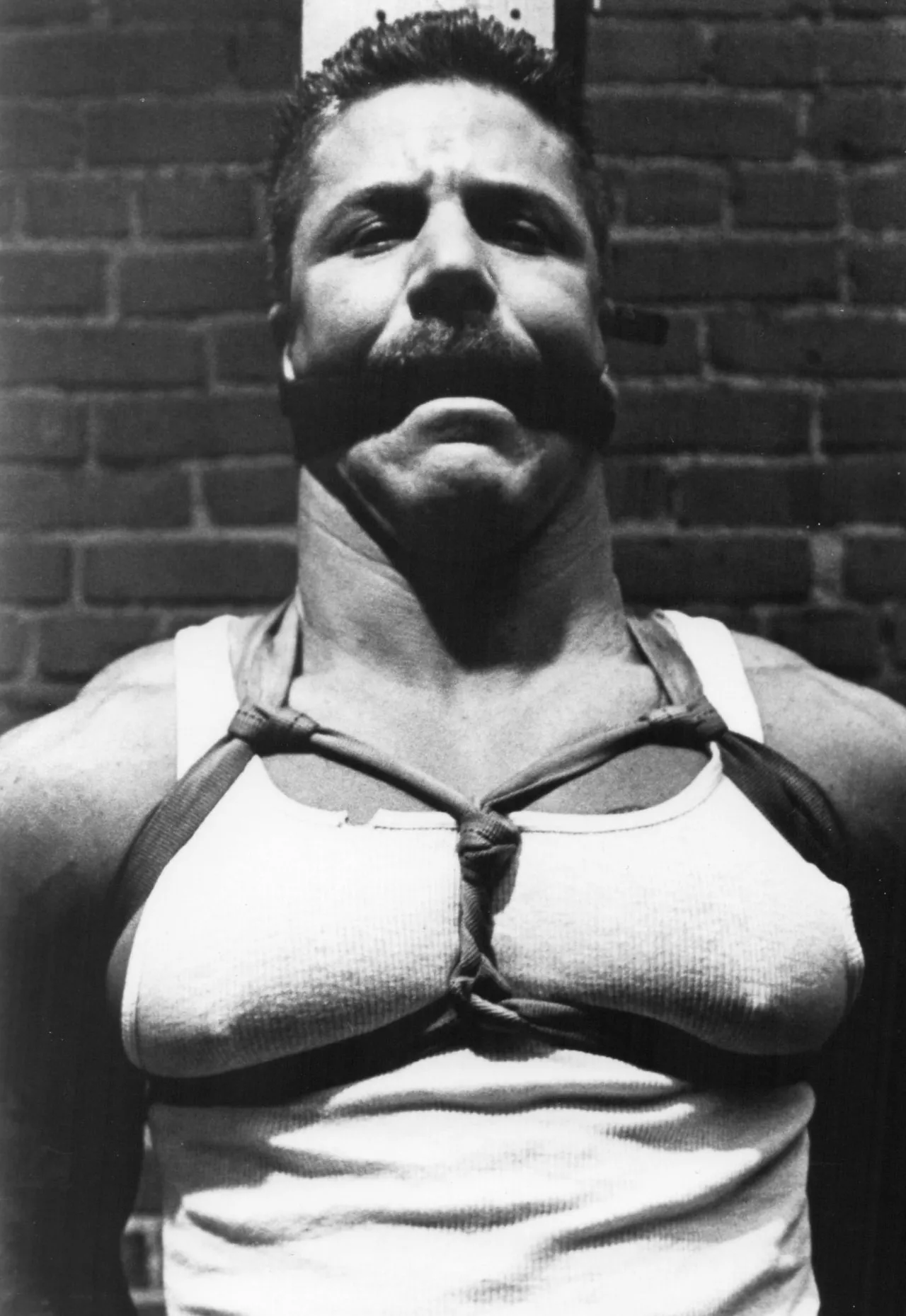 Vintage pecs