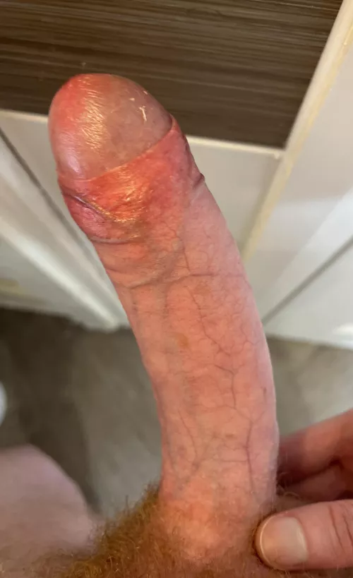 Virgin ginger cock