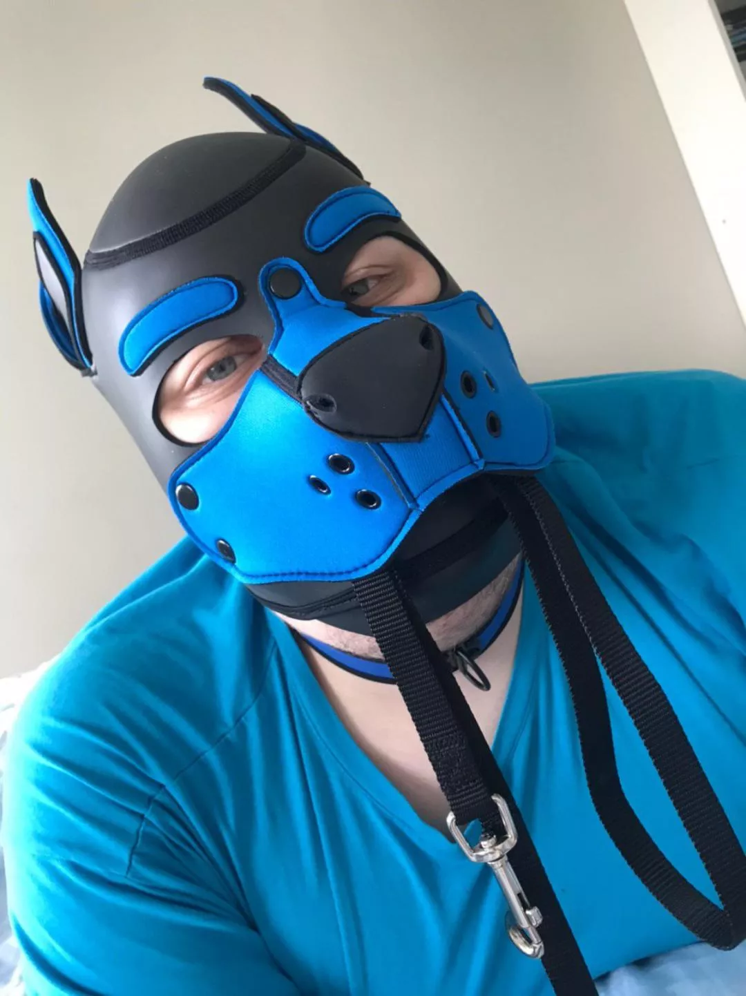 wanna take me for a walk? 😳😳🐶🐶