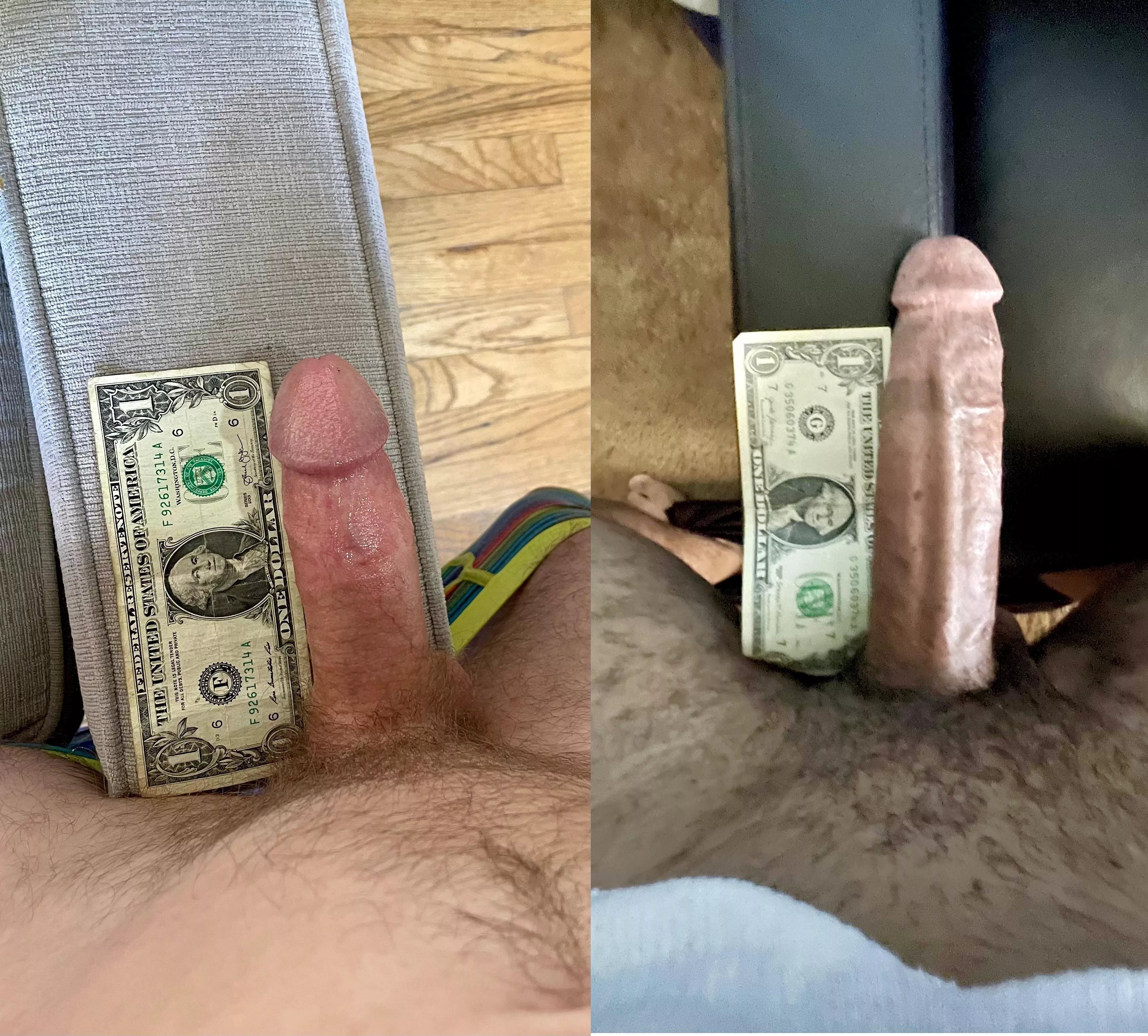 we dollar bill compared. What do you think? 💵