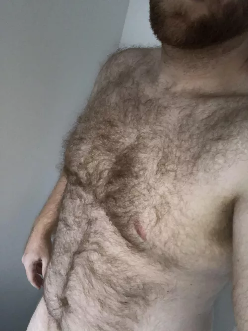 Welp, here goes nothing.