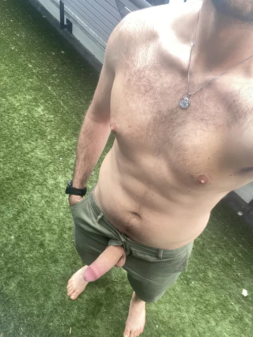 Went wild on the balcony