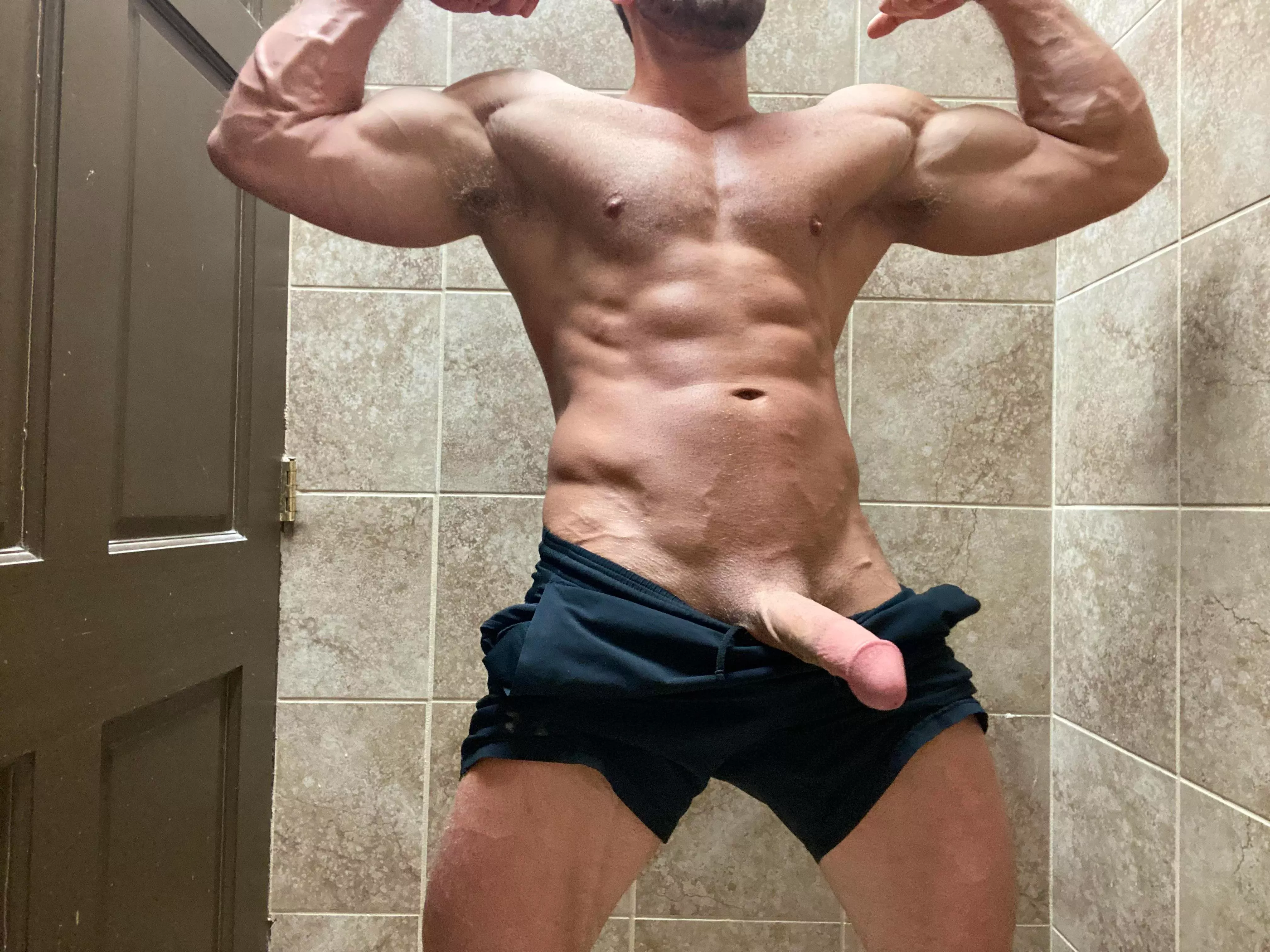 what are the chances of a big hung guy taming you ? 💪🍆