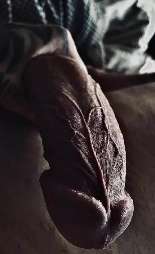 What are you up to? And what’s your verdict on my cock?