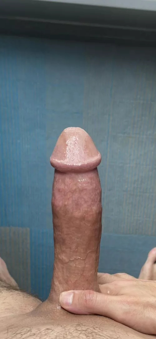 What do you guys think?