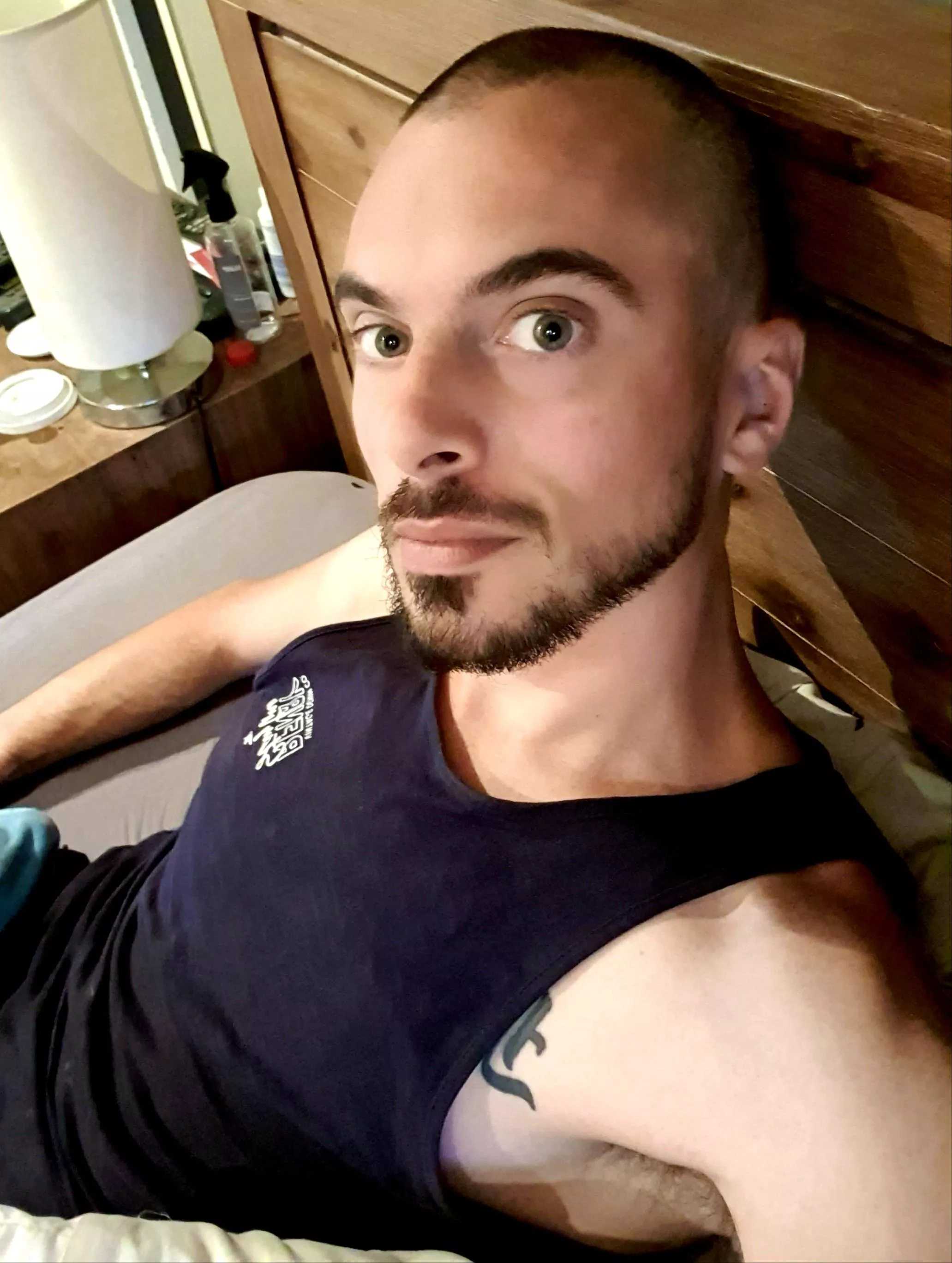 What do you guys think?