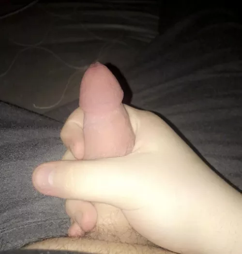 what do you think ;) [19]