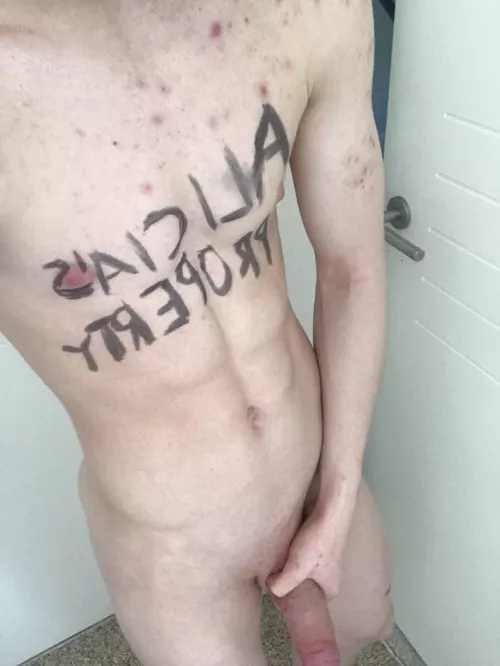 What should I make my little online piggy do next