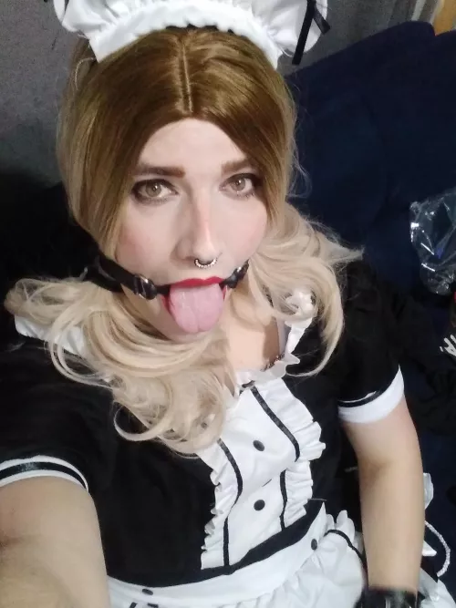 what will you put in there?