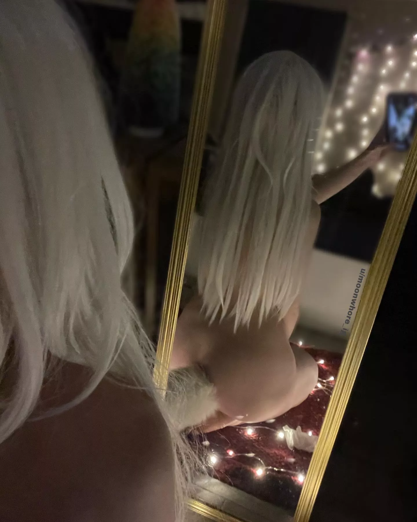 Whatever you do, don’t tug my tail, okay?