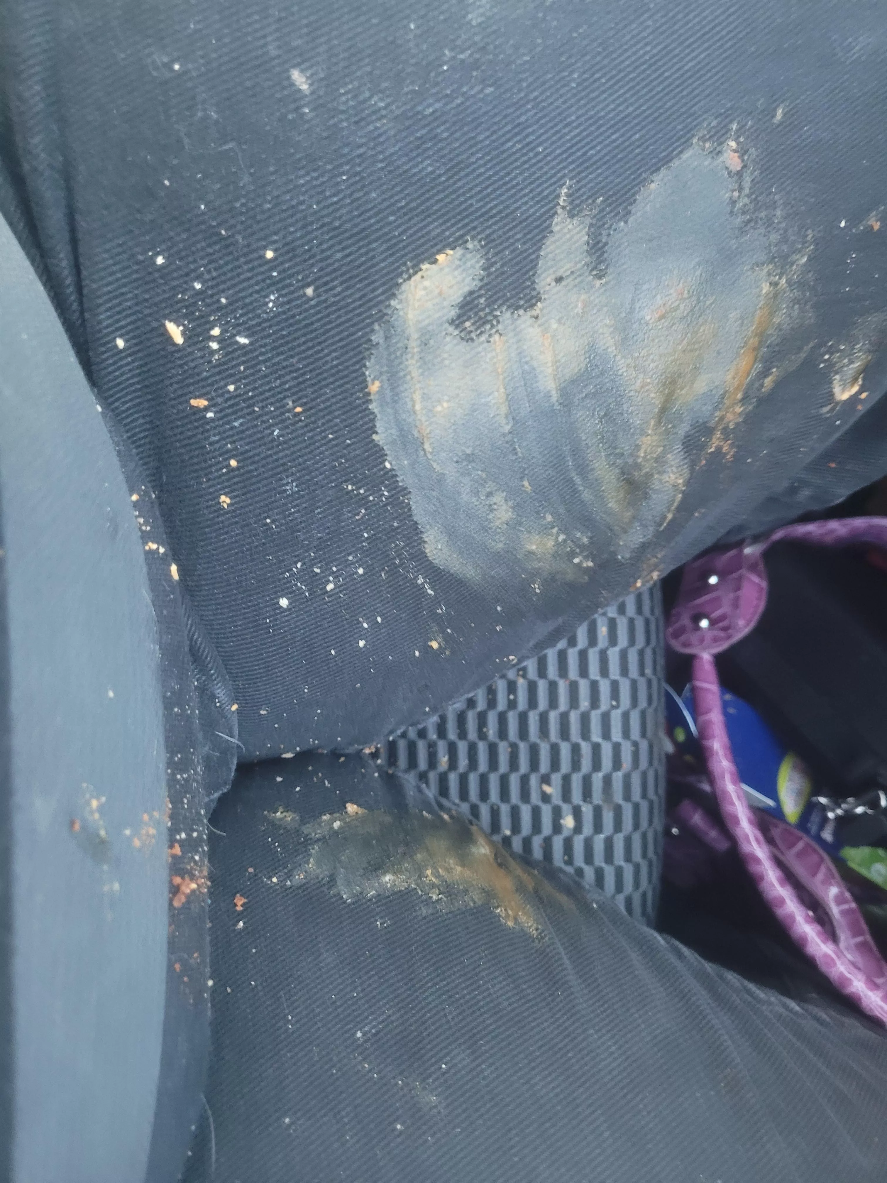 when you can't even get home safely with a holiday pumpkin pie **this pie was burnt and intended for Easter dessert but it fell off the dash into my lap**