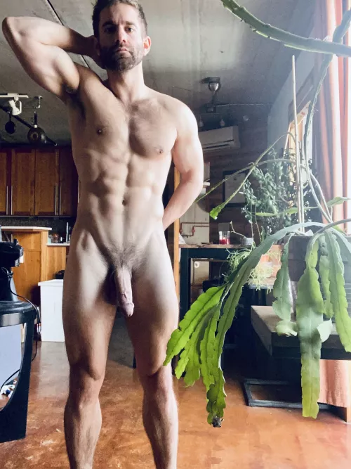 Where my plant lovers at?