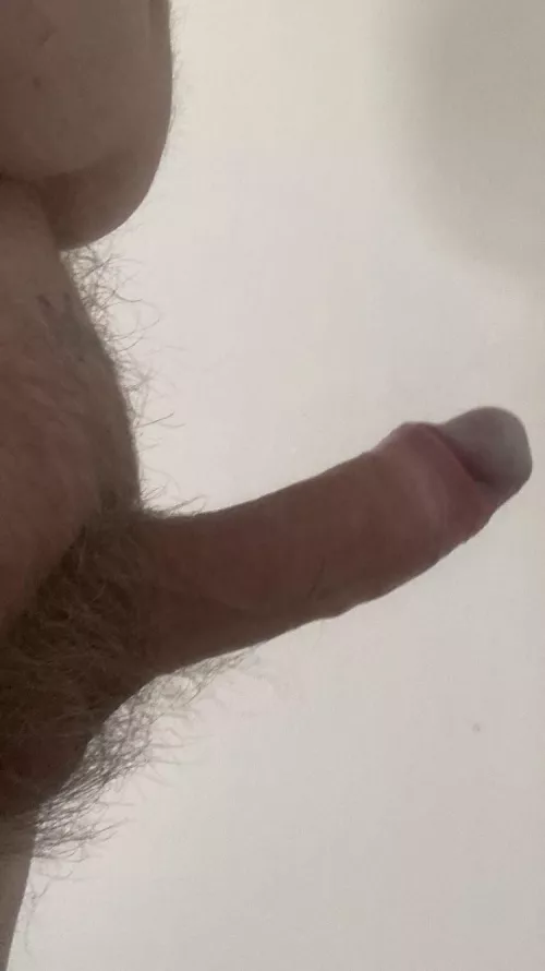 Wherever I go as soon as I look on Reddit he pops up 🙄(58)